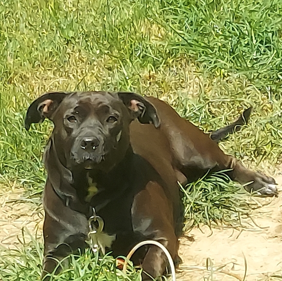 Variety of household and closet items - Picture 2 of 2